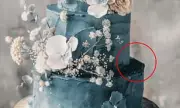 Bride's Wedding Cake Disaster: 'I Paid £400 for This Ugly Mess!'