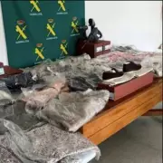 Brit Arrested in Ibiza for Using FAKE Driving Licence on Night Out