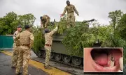 British Army's Shocking New Fitness Test: Recruits Must Now Use Their TEETH in Gruelling Canine-Assisted Drill