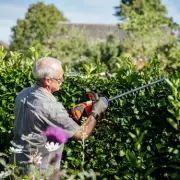 Brits Beware: Cutting Hedges in August Could Land You in Legal Trouble