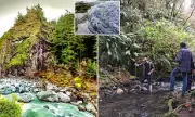 California's Ancient Secret: Mountain Road Reveals Jurassic-Era Portal