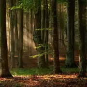 Can You Spot the Hidden Mistake? Only the Sharpest Eyes Will Crack This Puzzle!