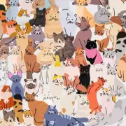 Can You Spot the Hidden Number in This Mind-Bending Optical Illusion?