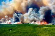 Canada Wildfires Spread to New Regions: Latest Updates and Evacuations