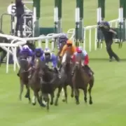 Chaos at Windsor as Blindfolded Horse Causes Race to Be Voided – Shocking Scenes Unfold