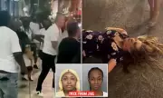 Cincinnati Riverfront Brawl: All Suspects Released Without Charges Following Viral Dock Brawl Investigation