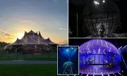 Circus Daredevil's Horror Globe of Death Accident Leaves Performer Seriously Injured