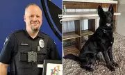 Colorado Police Chief's Daughter Tragically Killed by Family K9 Dog in Shocking Incident
