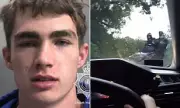 Comical 6mph Police Chase: Bungling Thief Steals Roller From Cricket Club In Britain's Slowest Getaway