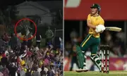 Cricket Fan's Hilarious Catch Attempt Ends in Disaster – Impaled by the Ball!