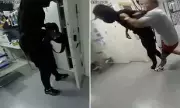 Daring Phone Heist Foiled: Masked Robbers Get Instant Karma from Undercover Police | London Crime Sting
