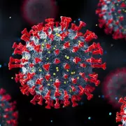Deadly RVHD2 Virus Spreads Among UK Rabbits: Urgent Warning Issued