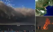 Deadly Wildfires Ravage France and Spain: Tourists Forced to Flee as Flames Spread