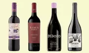 Discover Portugal's Finest Red Wines: Expert Picks for Every Palate