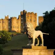 Discover the UK's Hidden Gem: The Charming Town with the Country's Best High Street