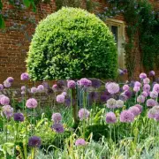 Discover the Wrekin: Shropshire's Breathtaking Hill Walk With Unbeatable Views