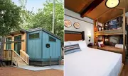 Disney Adults Can Now Glamp in Style at Florida's New Themed Resort
