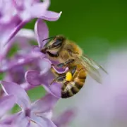 DIY Bee Hotel Hack: How to Attract Wildlife to Your Garden with This Simple Trick