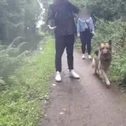 Dog Walker Jailed for Pushing Cyclist into Path of Bus in Shocking Road Rage Attack