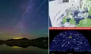 Don't Miss It! Perseid Meteor Shower Peaks Tonight – Here's How to Watch the Spectacle