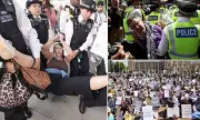 Dramatic Arrests as Palestine Action Protesters Clash with Police in London