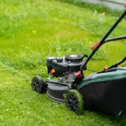 Easy Ways to Keep Weeds Out of Your Lawn Naturally