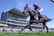 Ebor Festival Day One: York's Blockbuster Racing Tips & Best Bets for Wednesday
