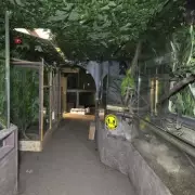 Eerie Abandoned UK Zoo Frozen in Time: Haunting Photos Reveal Decaying Cages and Forgotten Animals