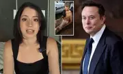 Elon Musk Sparks Outrage After Allegedly Evicting Conservative Author Ashley St. Clair