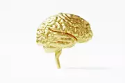 Elon Musk’s Neuralink vs OpenAI: The Race to Merge Human Brains with AI