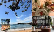 Escape the Sydney Bustle: Discover Australia's Hidden Coastal Gems in Terrigal, Noosa & Byron Bay