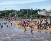 Escape to Devon Without a Car: A Scenic Rail Adventure Awaits on the Riviera Line