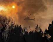 Europe Battles Extreme Heat and Wildfires as Trump-Putin Talks Dominate Headlines
