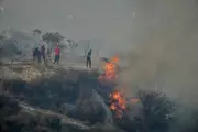 Europe Braces for Brutal Wildfire Season as Greece and Turkey Face Early Blaze Onslaught