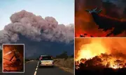 Europe in Flames: France's Wildfire the Size of Paris Rages On as Spain Evacuates Tourists Amid Deadly Heatwave