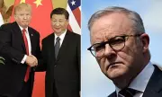 Exclusive Poll: Albanese's Approval Dives as Trump and Xi Gain Traction Among Australians