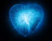 Exercise Therapy Breakthrough: A New Prescription for Mending Broken Hearts