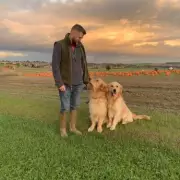 Family's Agony as Beloved Pet Dog Returns from Walker 'Dead in a Bag' - Shocking Negligence Exposed