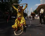 Flamingo Chicks, Rubber Ducks & a Full Moon: Stunning Weekend Snaps You Can't Miss