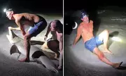 Florida Man Hospitalised After Shark Bite During Photo Pose on New Smyrna Beach | Daily Mail