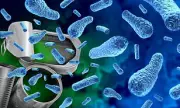 Forever Chemicals in Cosmetics and Waterproof Clothing: The Hidden Health Risks You Need to Know