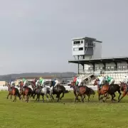 Friday's Fortune: Newsboy's Unmissable Horse Racing Tips for Six Key Meetings