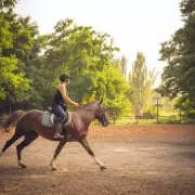 From Facebook to Family: Woman Buys Retired Racehorse Online – Now He's Her Best Friend