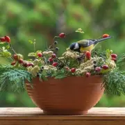 Gardeners' Ultimate Guide: 5 Essential Tips to Protect Birds and Transform Your Garden Into a Wildlife Haven