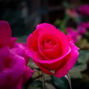 Gardening Experts Reveal One Simple Task to Keep Your Lawn Lush and Green All Summer