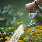 Gardening Hack: Keep Your Plants Hydrated for Days with This Simple Trick
