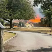 Gas Leak Chaos at Ladram Bay Holiday Park: Evacuations and Emergency Response