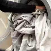 Germ Expert Reveals: How Long Bacteria Survives on Everyday Items – Shocking Findings!