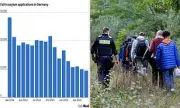 Germany's Asylum Seeker Numbers Halve in Six Months Amid Tough New Migration Policies
