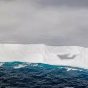 Giant Iceberg A23a, The World's Largest, On Terrifying Collision Course With Southern Ocean Shipping Lanes